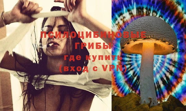 мяу мяу кристалл Медвежьегорск