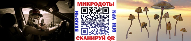мориарти как зайти  Саранск  Псилоцибиновые грибы мухоморы  купить  цена 